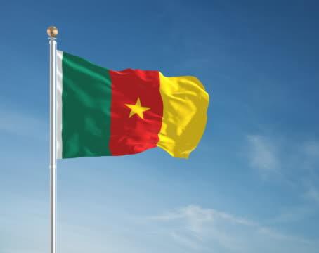 Cameroon | International Agents at DBS