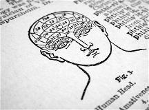 dbs-psychology-students