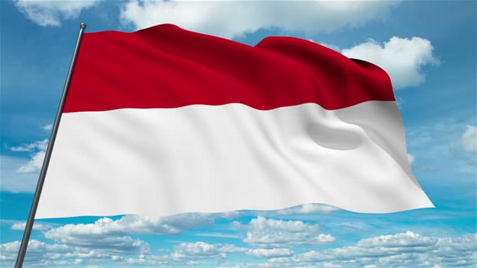Indonesian Flag