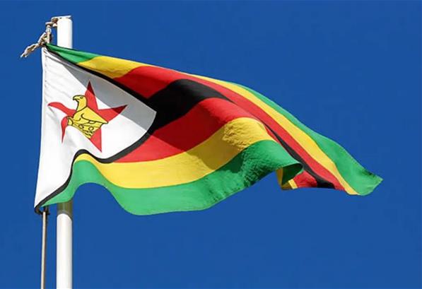 DBS Agents in Zimbabwe