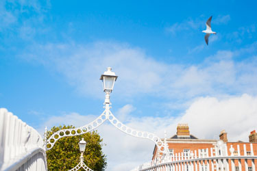 A bird flying over a white fence from the Ha'penny Bridge in Dublin