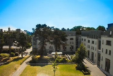 A Tall White Building with green trees around it